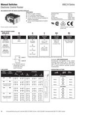 AML22CBF2AA datasheet.datasheet_page 6