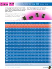 0603N101J101NT datasheet.datasheet_page 1