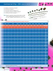 0603N101J101NT datasheet.datasheet_page 2