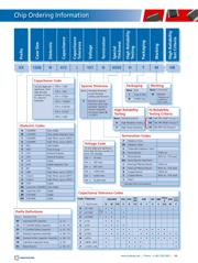 0603N101J101NT datasheet.datasheet_page 3