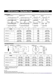 CAY16-330J4LF datasheet.datasheet_page 3