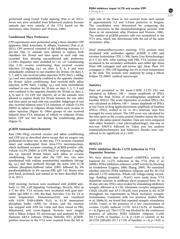 LB2012T101MV datasheet.datasheet_page 3