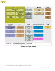 MKV11Z128VFM7 datasheet.datasheet_page 3