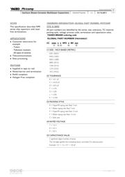 CC0201CRNPO9BN1R5 datasheet.datasheet_page 2