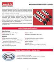 ECASD40D107M016K00 datasheet.datasheet_page 2