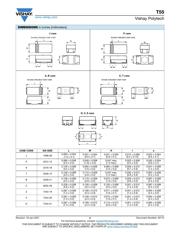 T55T336M010C0200 datasheet.datasheet_page 2