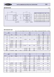 EXV476M035A9HAA datasheet.datasheet_page 2